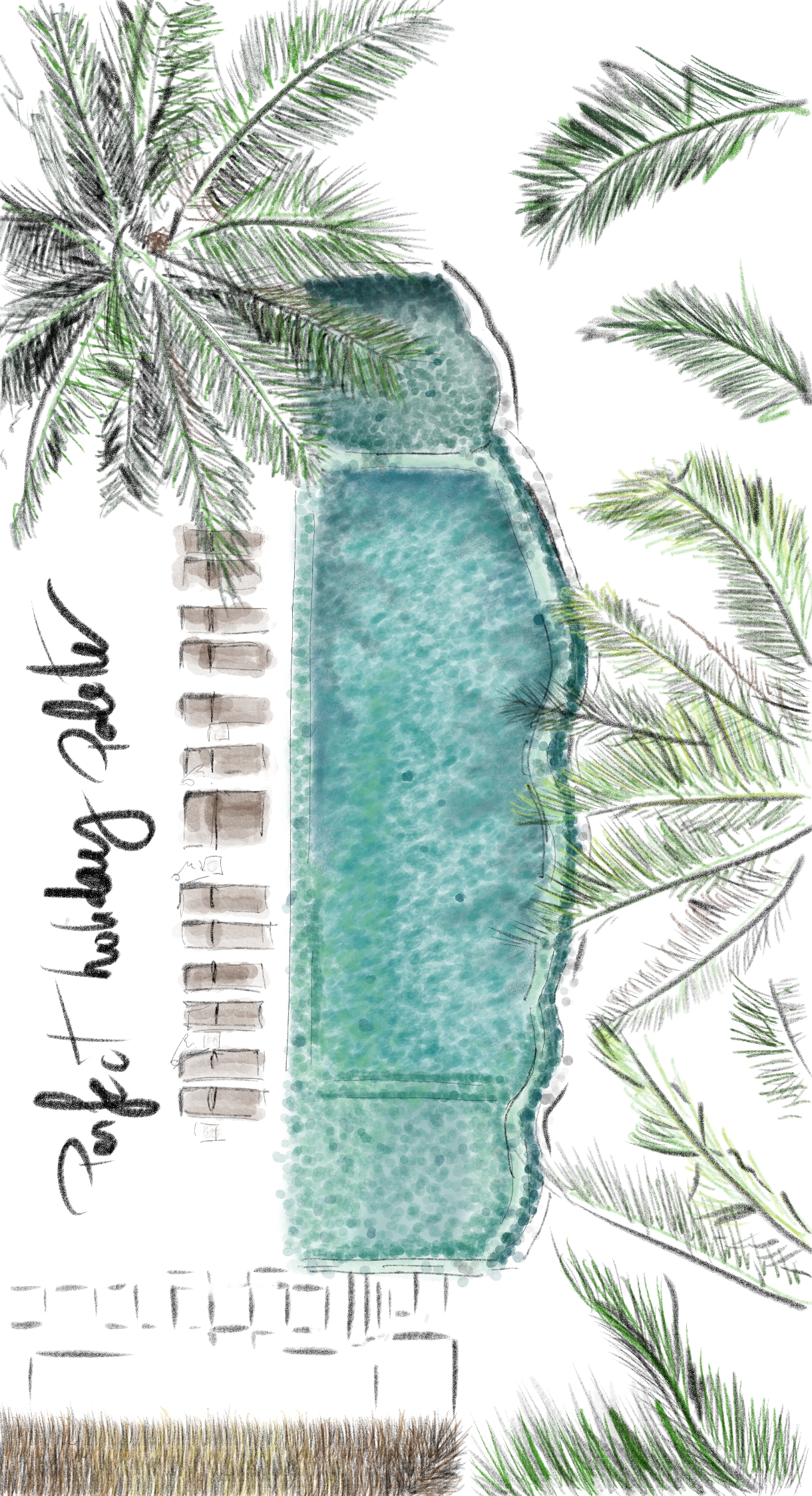 bali-swimming-pool-illustration-studio-maud-weibel bali-swimming-pool-illustration-studio-maud-weibel.jpg